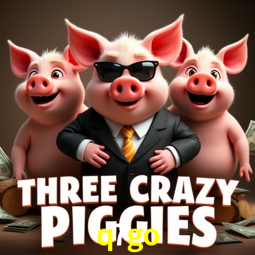 Experiência VIP q7go